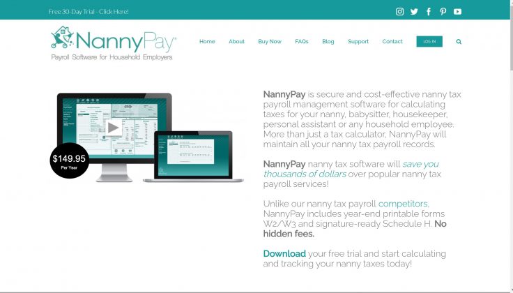 nannypay for sale
