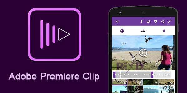 Adobe premier clip for instagram editing