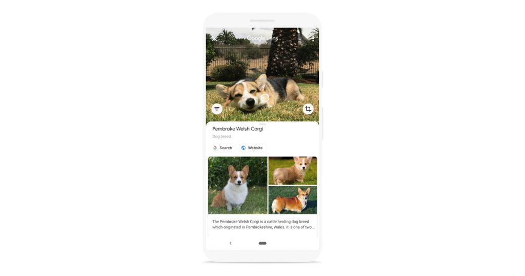 Google lens- best augmented reality apps