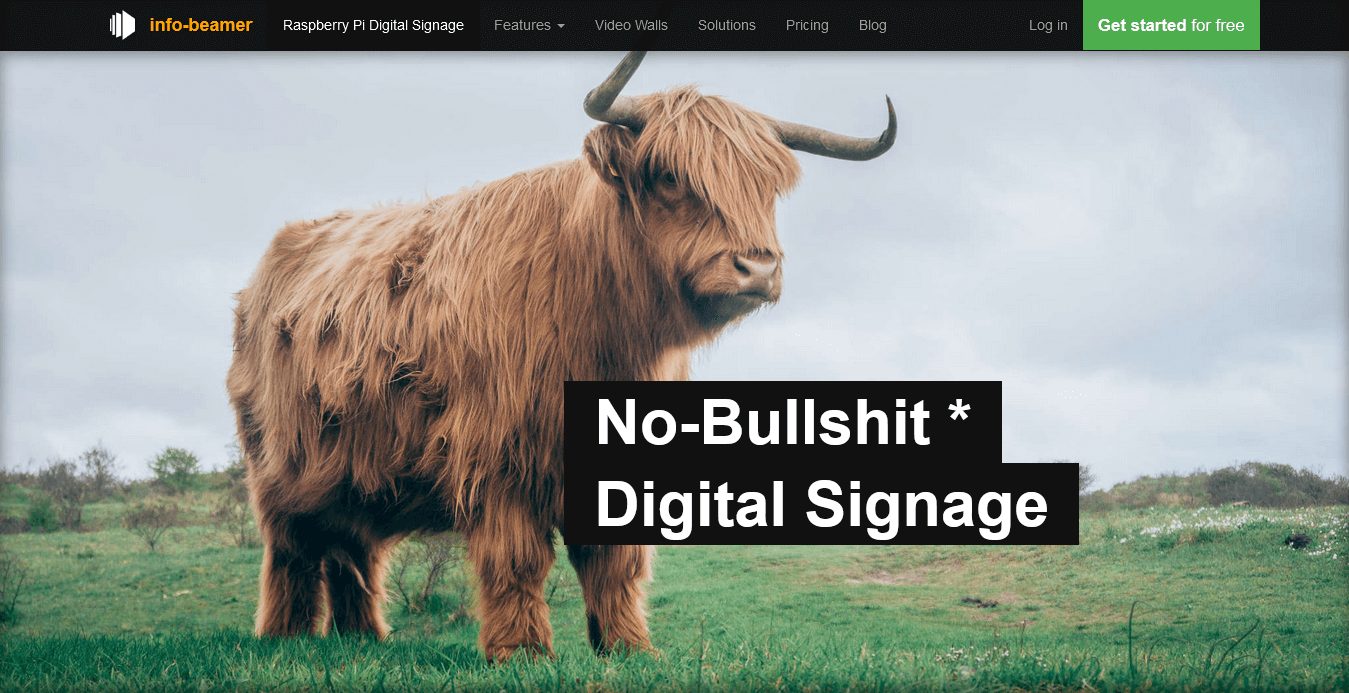 Info Beamer homepage with bull picture